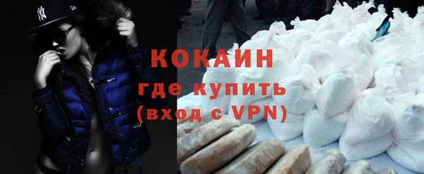 гашик Тавда
