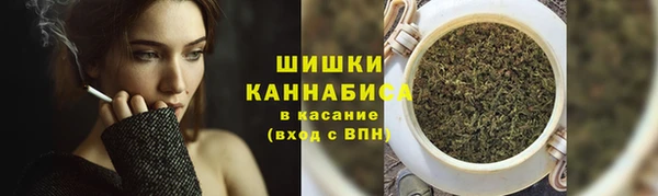 бошки Горнозаводск