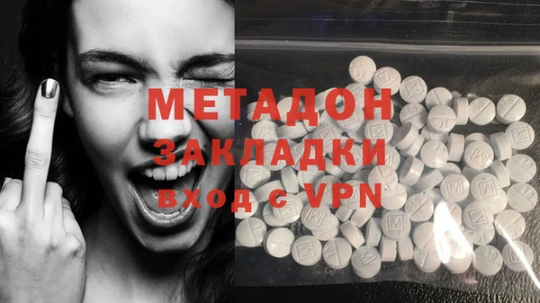 ГАЛЛЮЦИНОГЕННЫЕ ГРИБЫ Гусев
